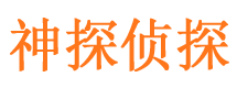 三元市调查公司